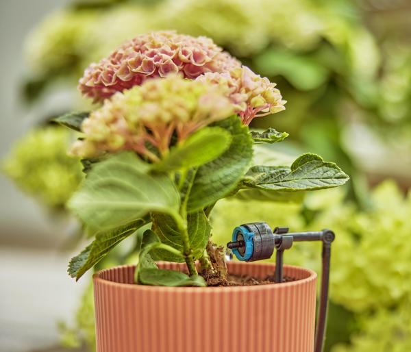 GARDENA Micro-Drip-System regulierbarer