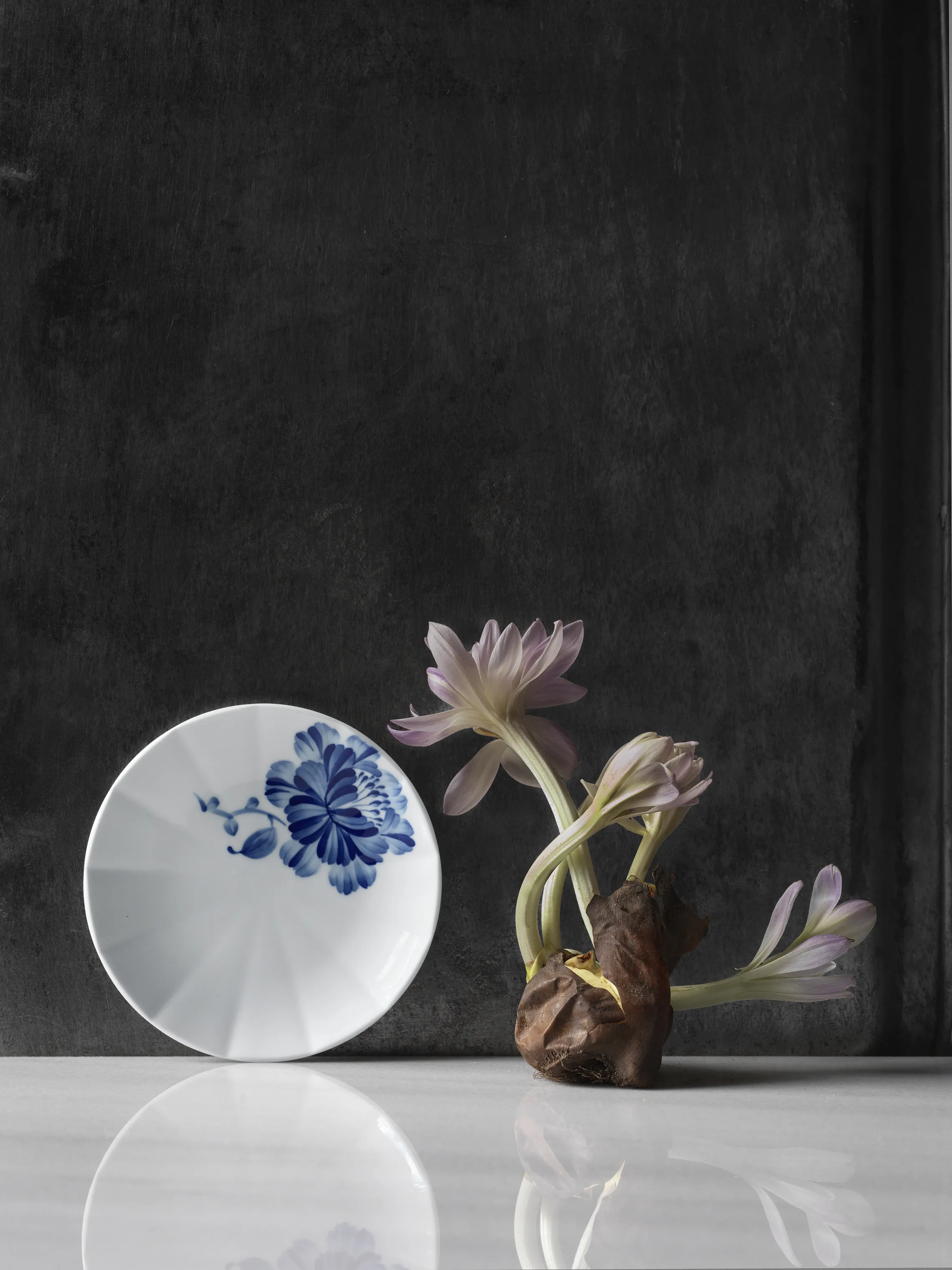 Royal Copenhagen Blomst Tallerken - Kamelia