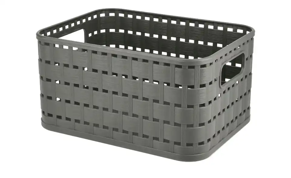 Rotho Aufbewahrungsbox 13,7 cm