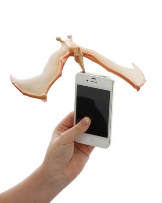 Balancing Pteranodon