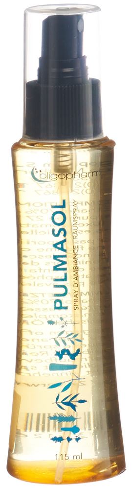 PULMASOL Spray<br>115 ml, flüssig
