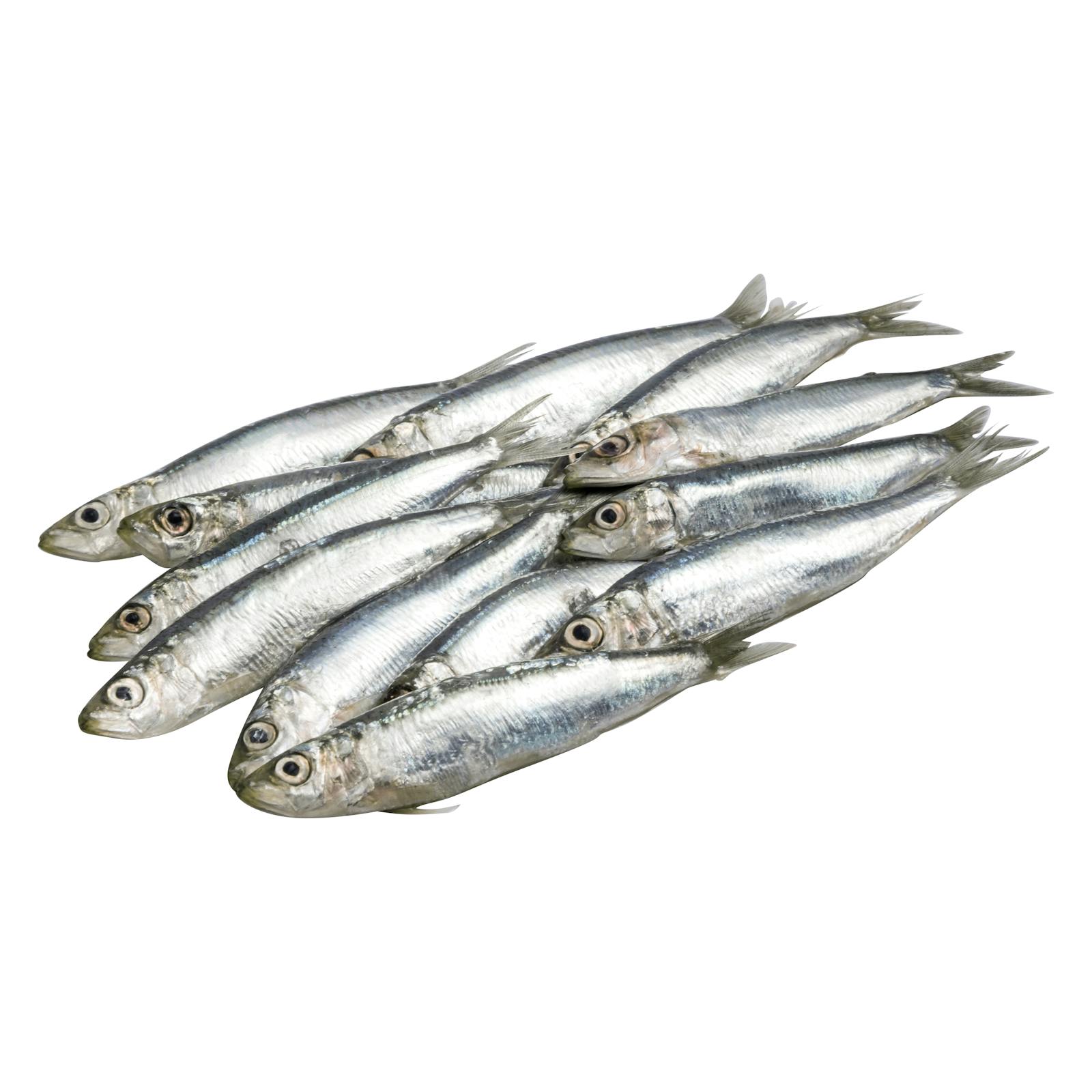 Sardine non nettoyée