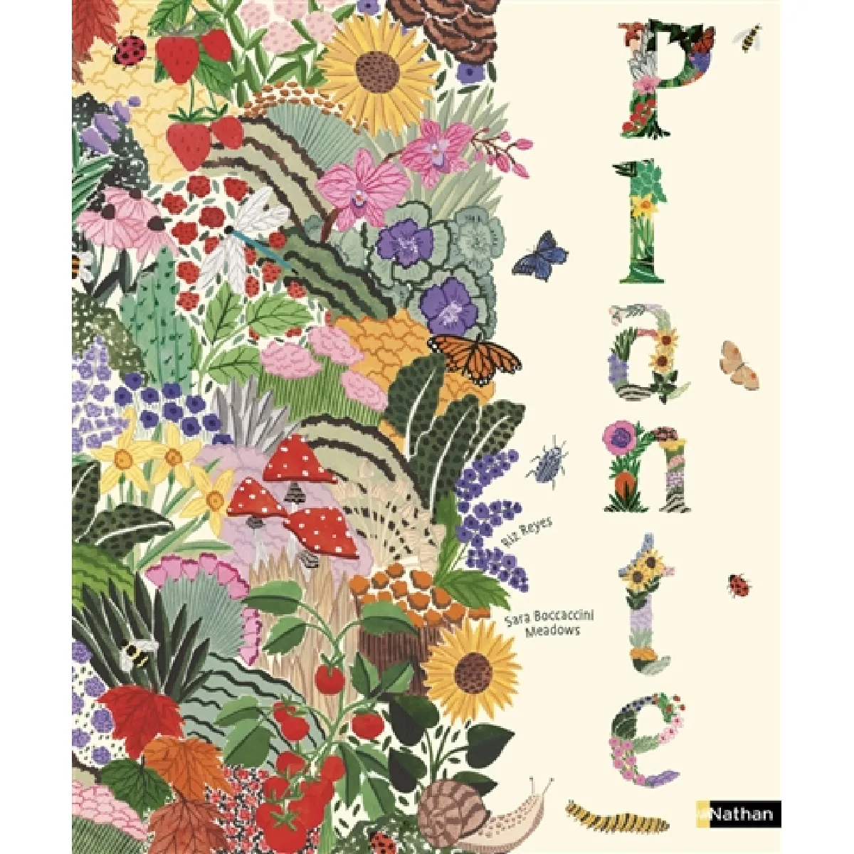Plante
