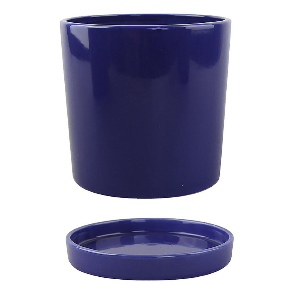 INNENDØRS POTTE PIARDINO SAMIRA ROYAL BLUEØ17CM BLÅ