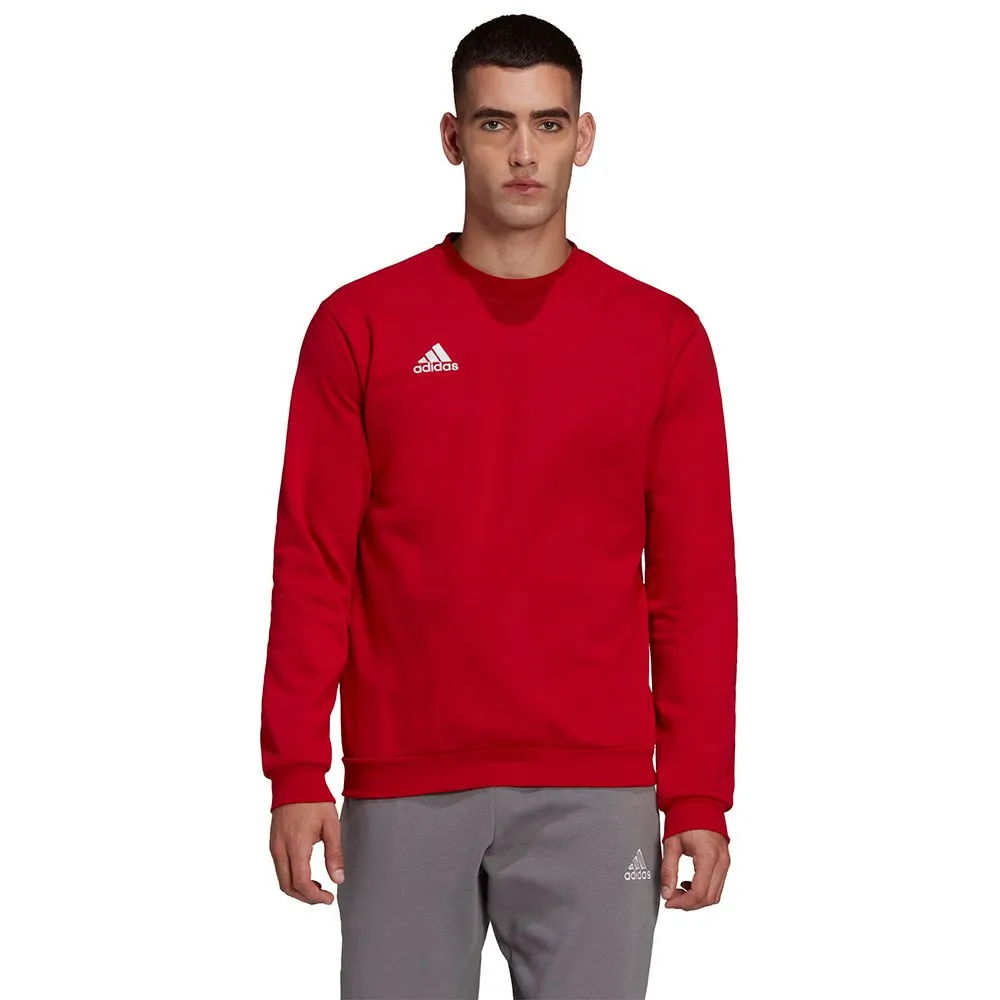 Moletom adidas Entrada 22 Stadium SW