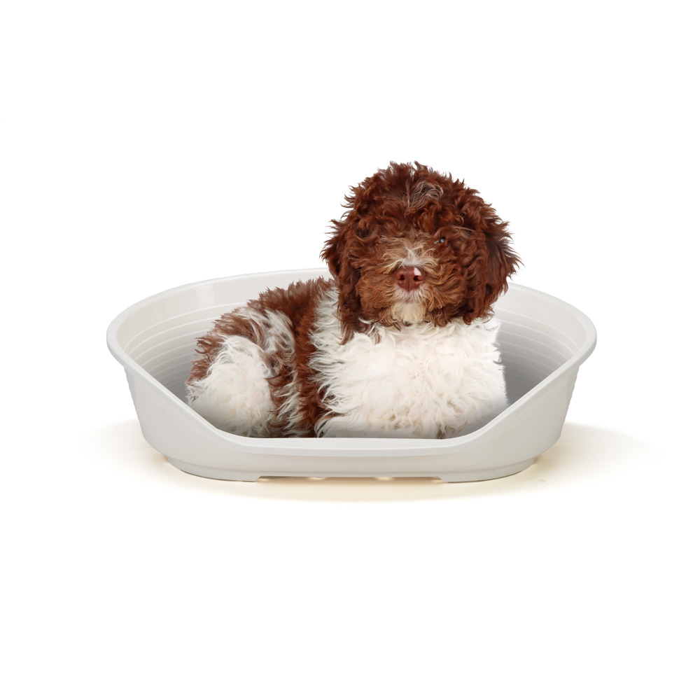 Ferplast panier chien en plastique siesta deluxe 8, lit pour chien, niche chien intérieur, panier pour chiens avec antidérapant,