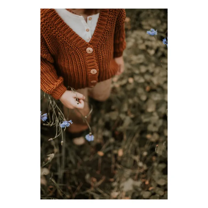 Yuki Cardigan Chunky Coton Bio | Marron