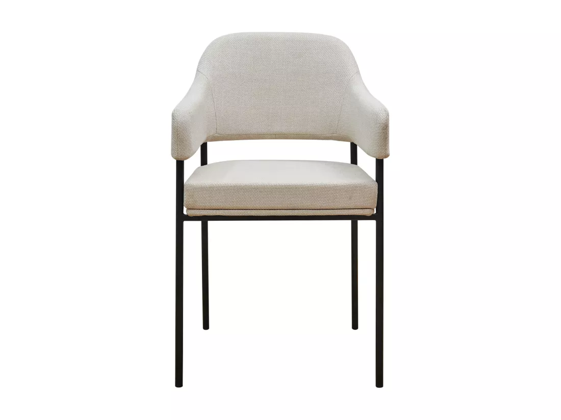Lot de 2 chaises de salle à manger
