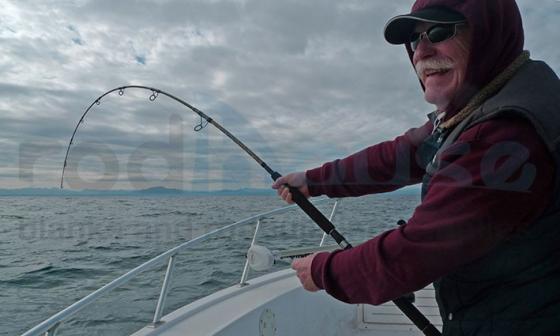Blank TR86 Super Tuna-H 2.55m 30-100 Gr Tuna