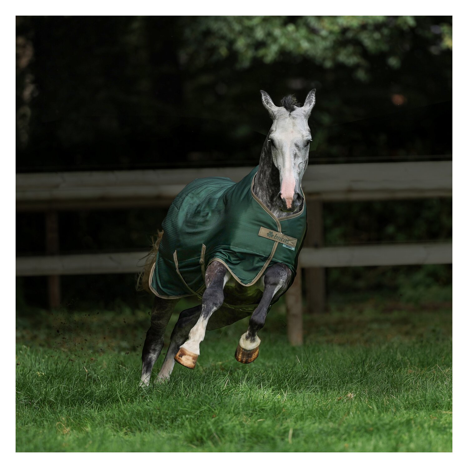 bucas Outdoordecke Freedom Turnout 150 g - opal/taupe