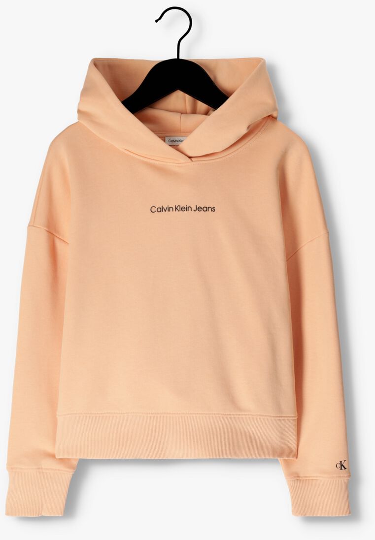 CALVIN KLEIN oranje calvin klein  logo boxy hoodie