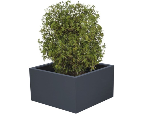 Palatino Clara plantenbak 70 x 70 x 50 cm metaal antraciet