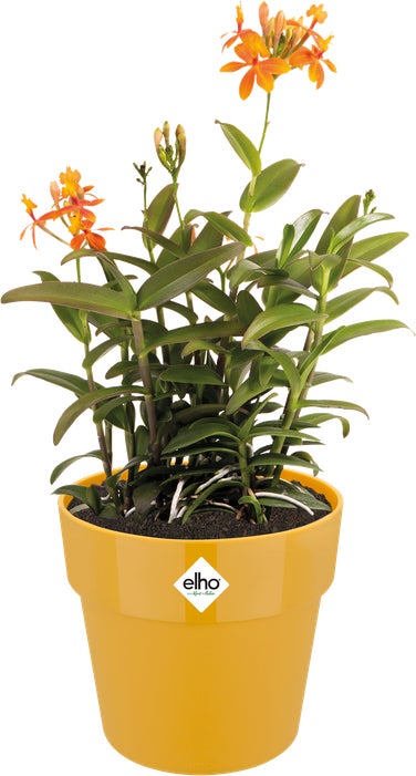 Elho bloempot B. for original geel D 18 H 16,5 cm