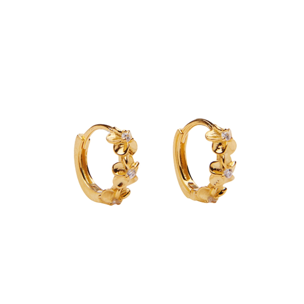 Pico  Aster Crystal hoops - forgyldt/klar