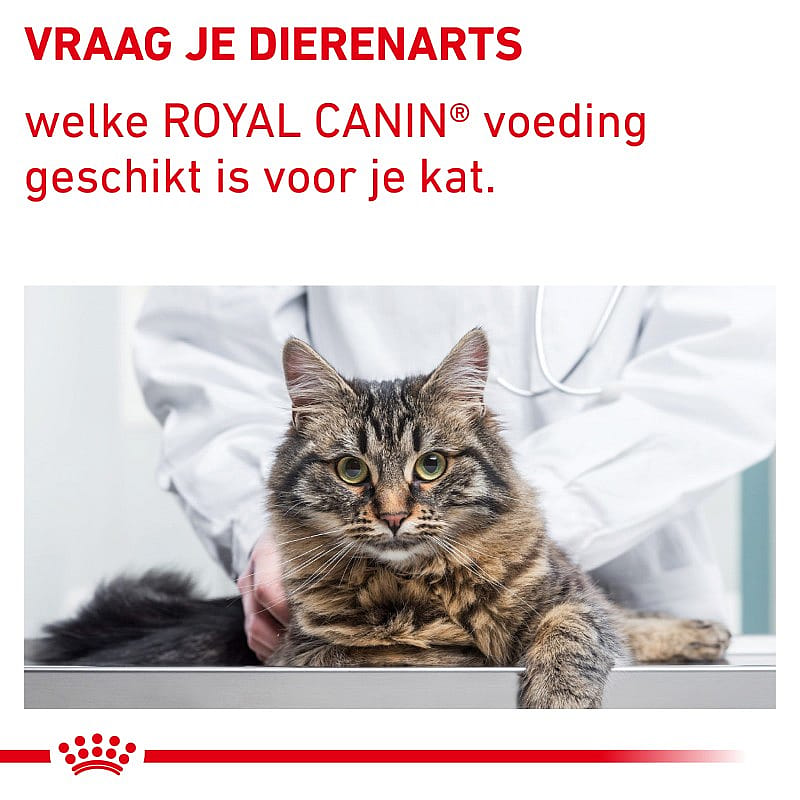 Royal Canin Calm Diet kat Kattenvoer voor volwassen katten in stressvolle situaties