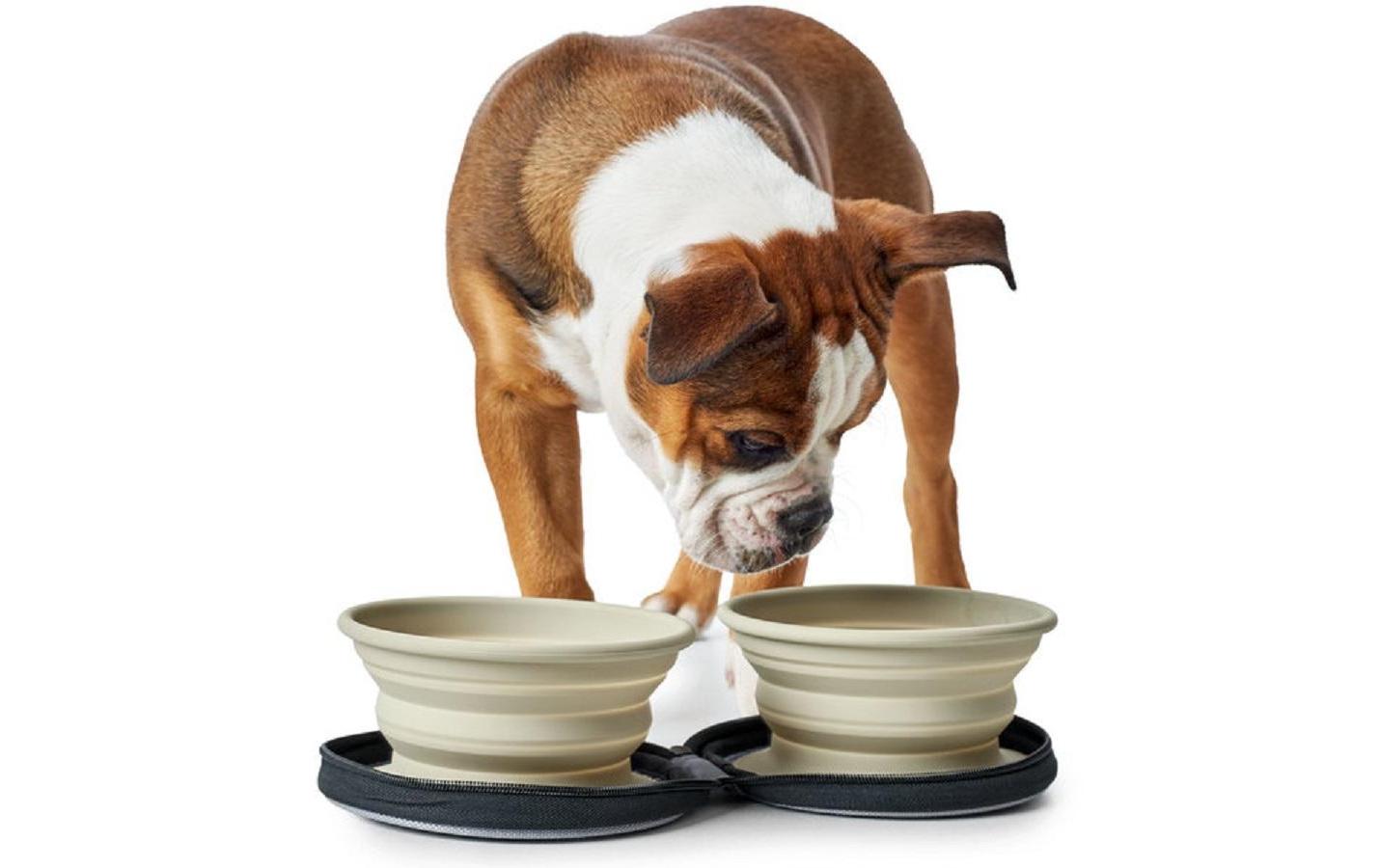 Reisenapf List mit TascheReisenapf für Hunde, 1.5 l