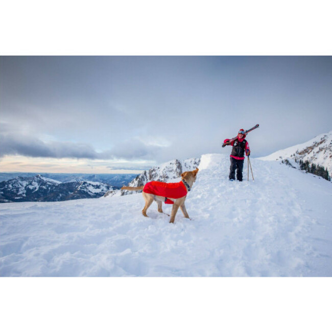 Coupe-vent pour chien Ruffwear