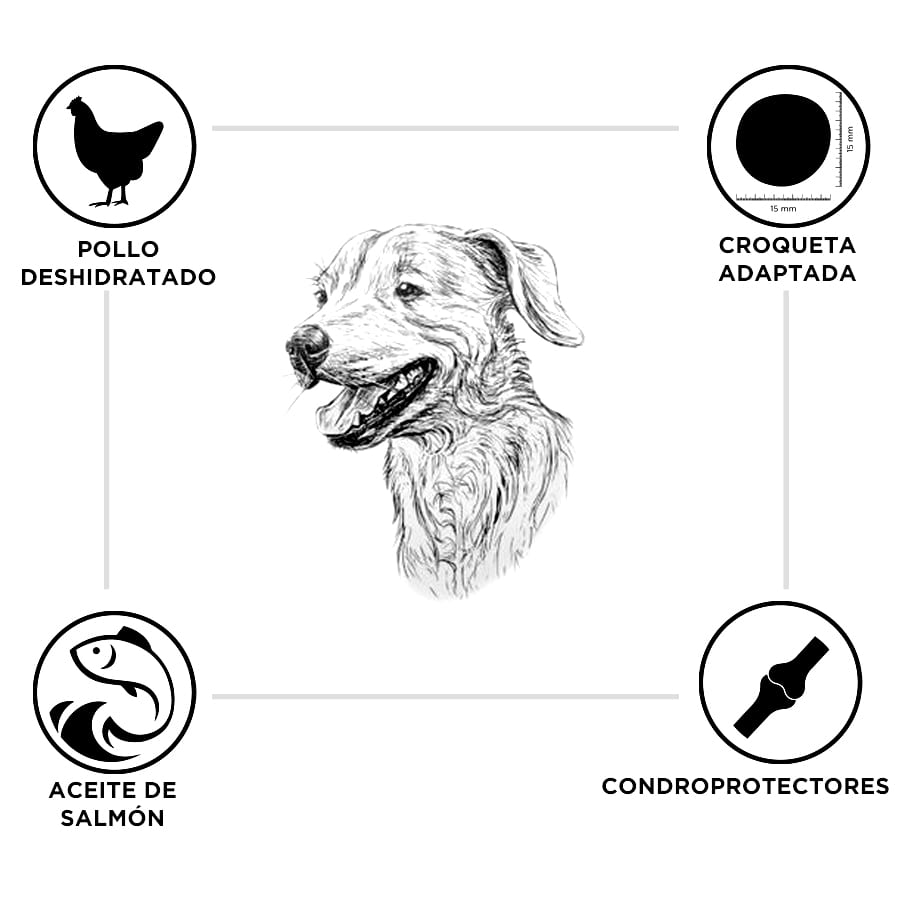 Ração para filhotes de raças grandes, sabor frango e arroz, da marca Breeders.