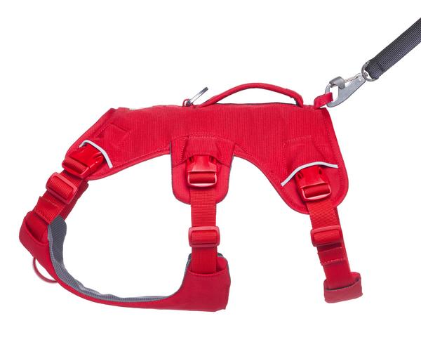 RUFFWEAR® Hundegeschirr Web Master™