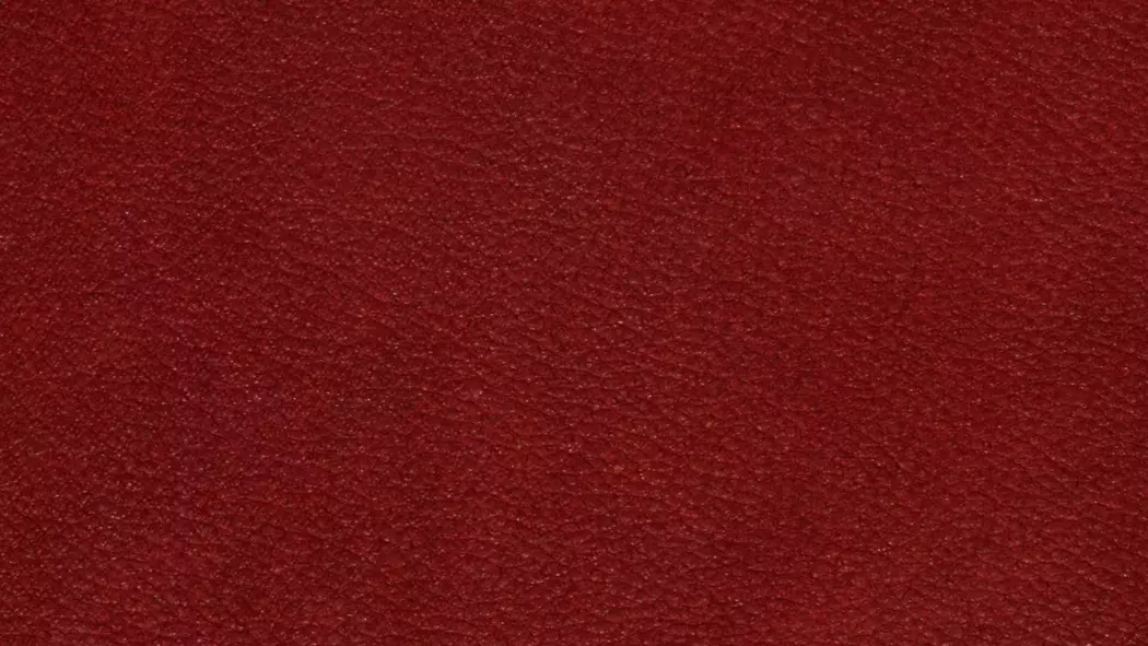Sessel Yoko No.1