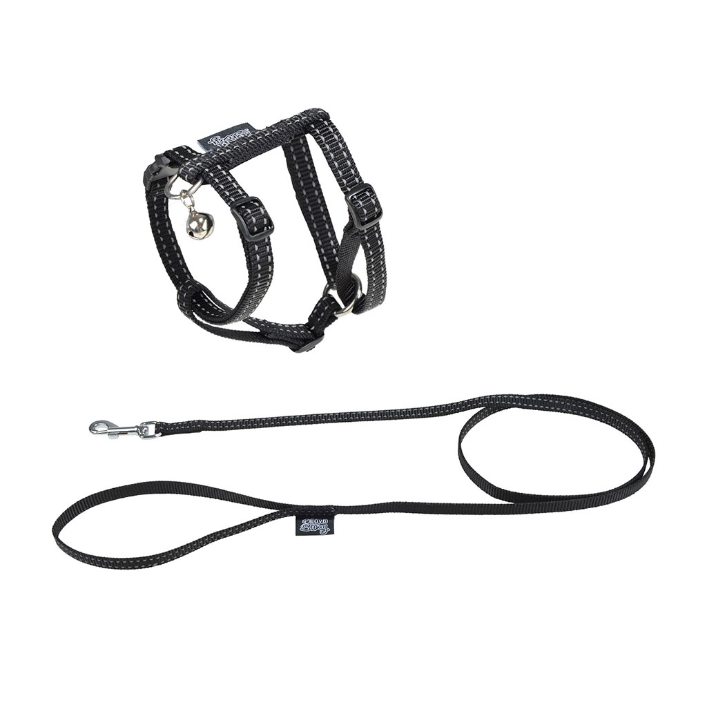 Kit harnais   laisse pour chat noir