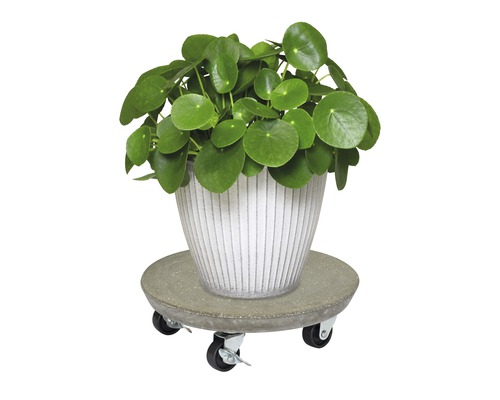 Plantenwagen Multi Roller beton Ø 28 cm antraciet TK 100 kg
