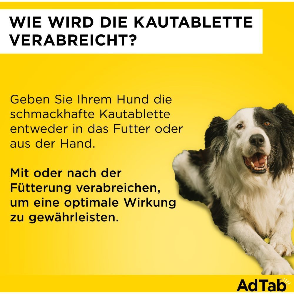 AdTab™ Hund über 1,3 bis 2,5 kg 56 mg