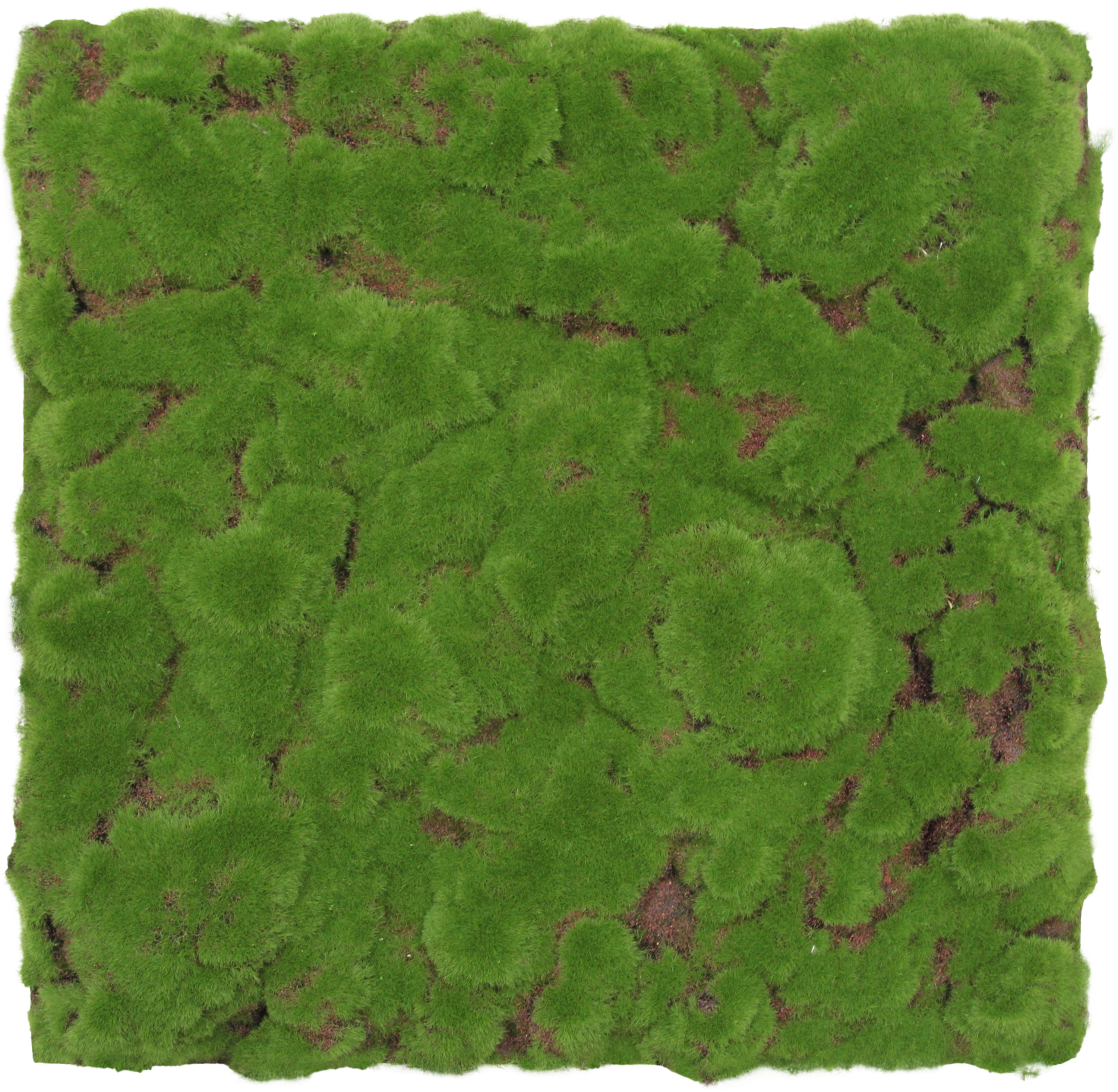 Wandpaneel MODULAR WALL
