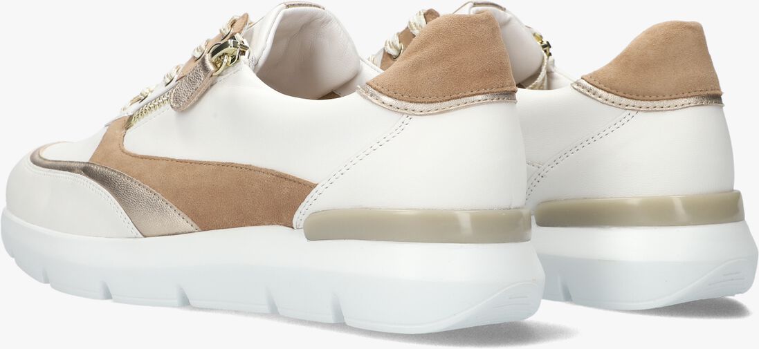 camel hassia lage sneakers bordeaux