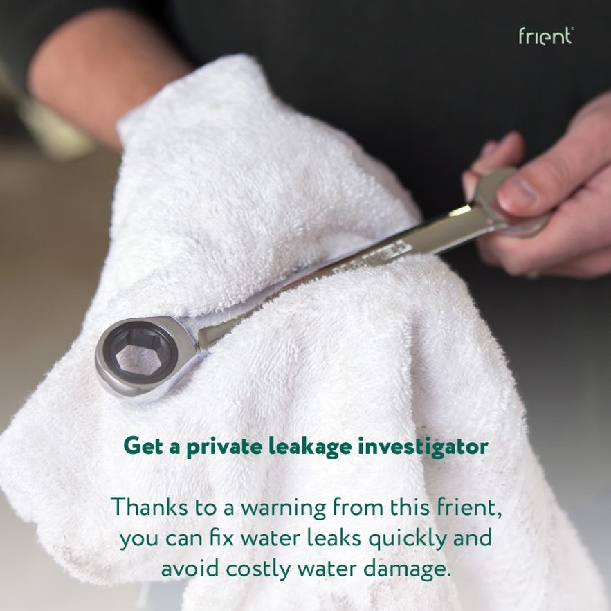 Frient - Water Leak Detector