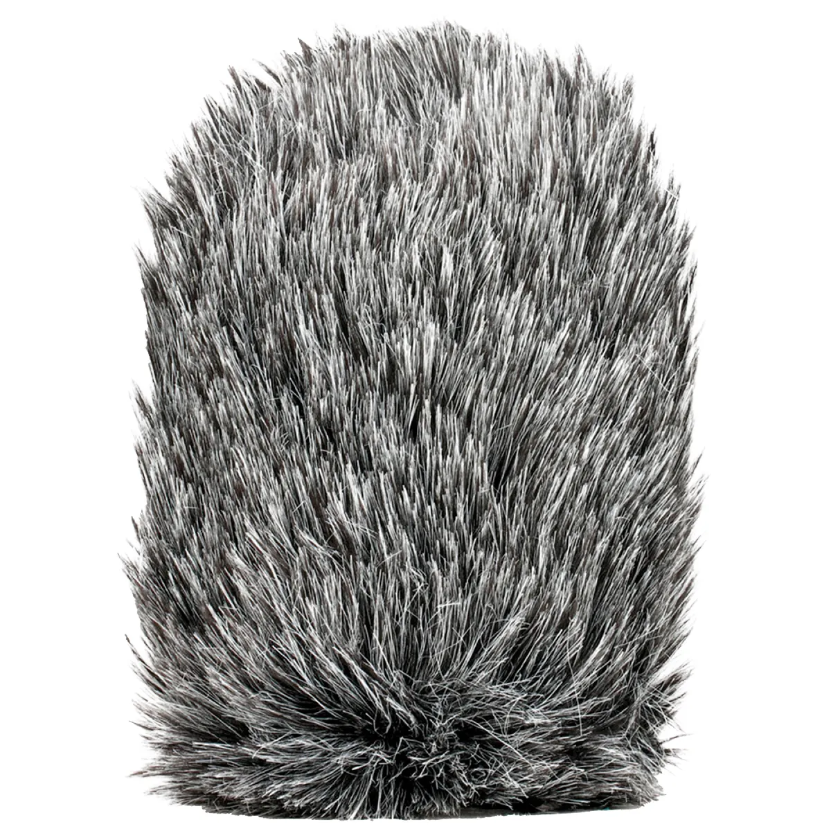Saramonic Cammic+-WS