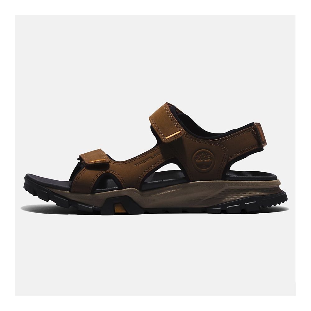 Timberland LINCOLN PEAK - Sandales Homme dark brown leather