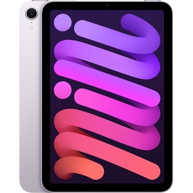 iPad Apple Mini 8,3
