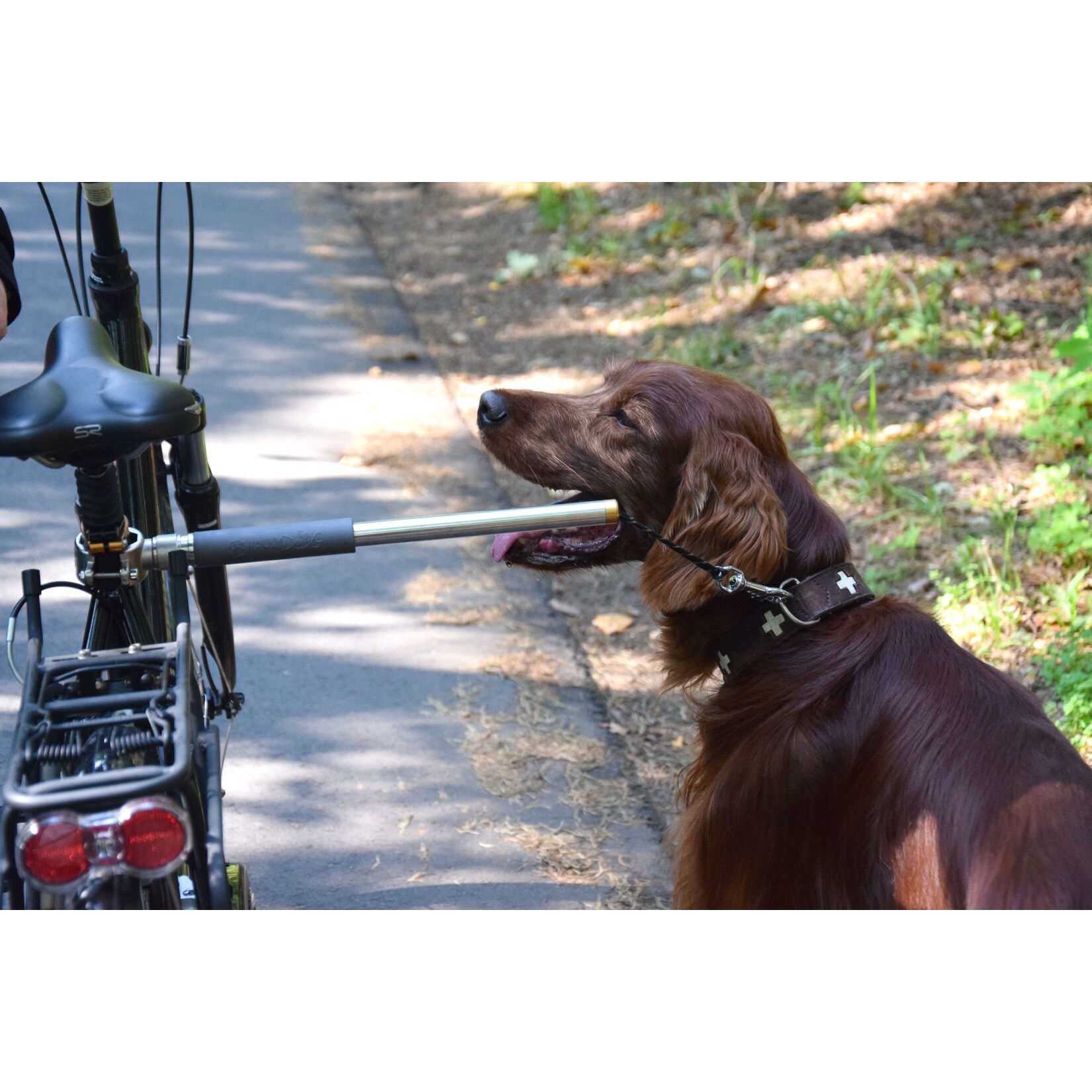 Dobar Walky Dog Plus Fahrradleine