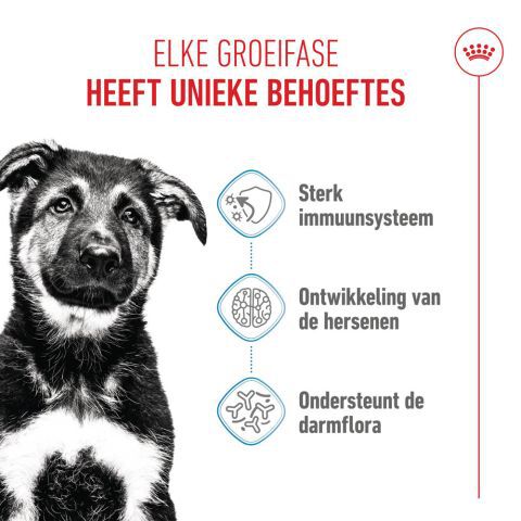 Royal Canin Maxi Puppy - Hondenvoer - 3 Kilogram - gevogelte