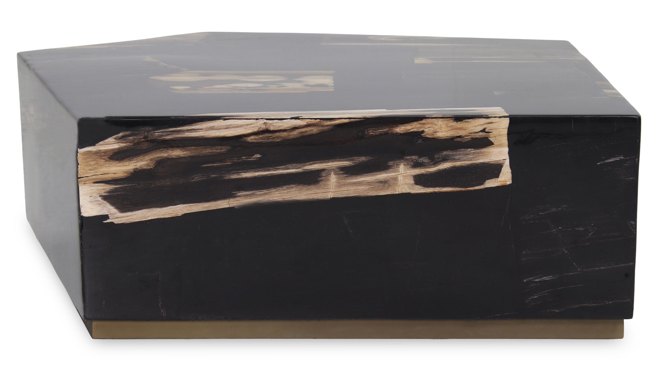 Salontafel Petrified Wood Large 706817 Rayn B87 x D80 x H31 cm