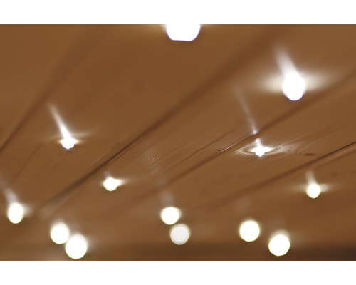 Sterrenhemel LED Caribou