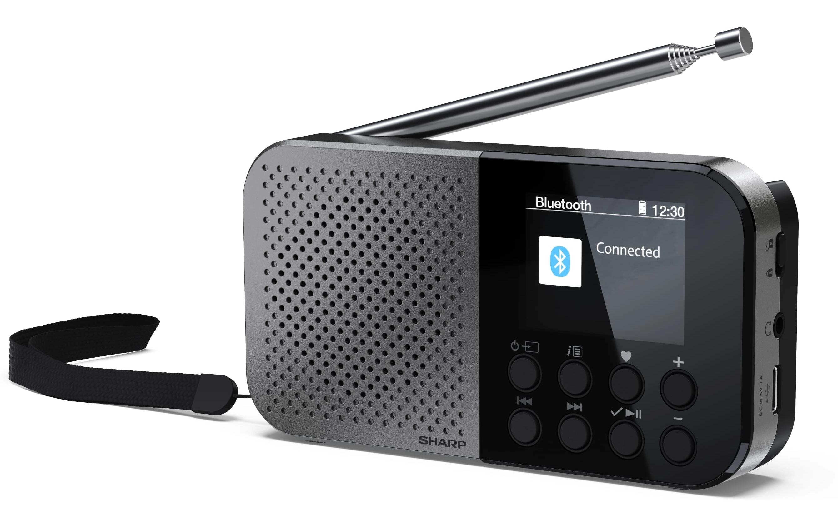 DAB+ Radio DR-P520 GrauTragbares DAB+ Handradio mit RDS