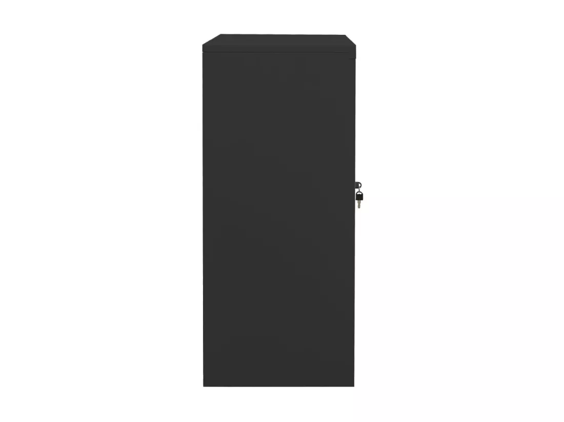 Armoire de bureau Anthracite 90x40x90 Acier