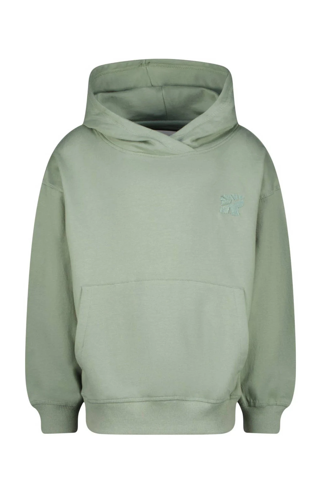 Raizzed hoodie Austin met backprint zachtgroen