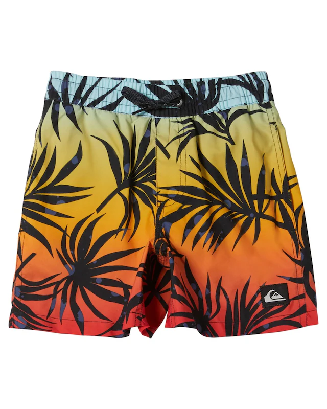 Quiksilver Badeshorts »Everyday Mix Volley«