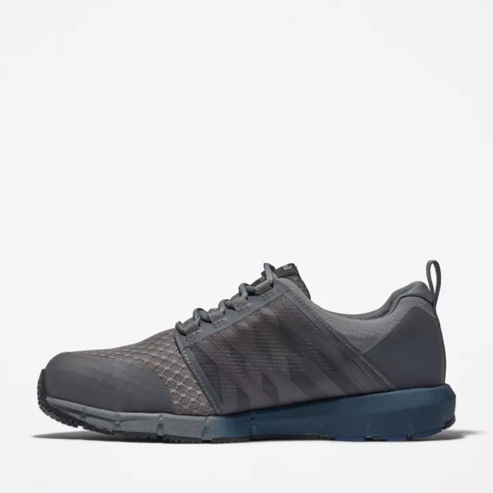 Chaussure de travail à embout en alliage Radius pour homme en gris et bleu