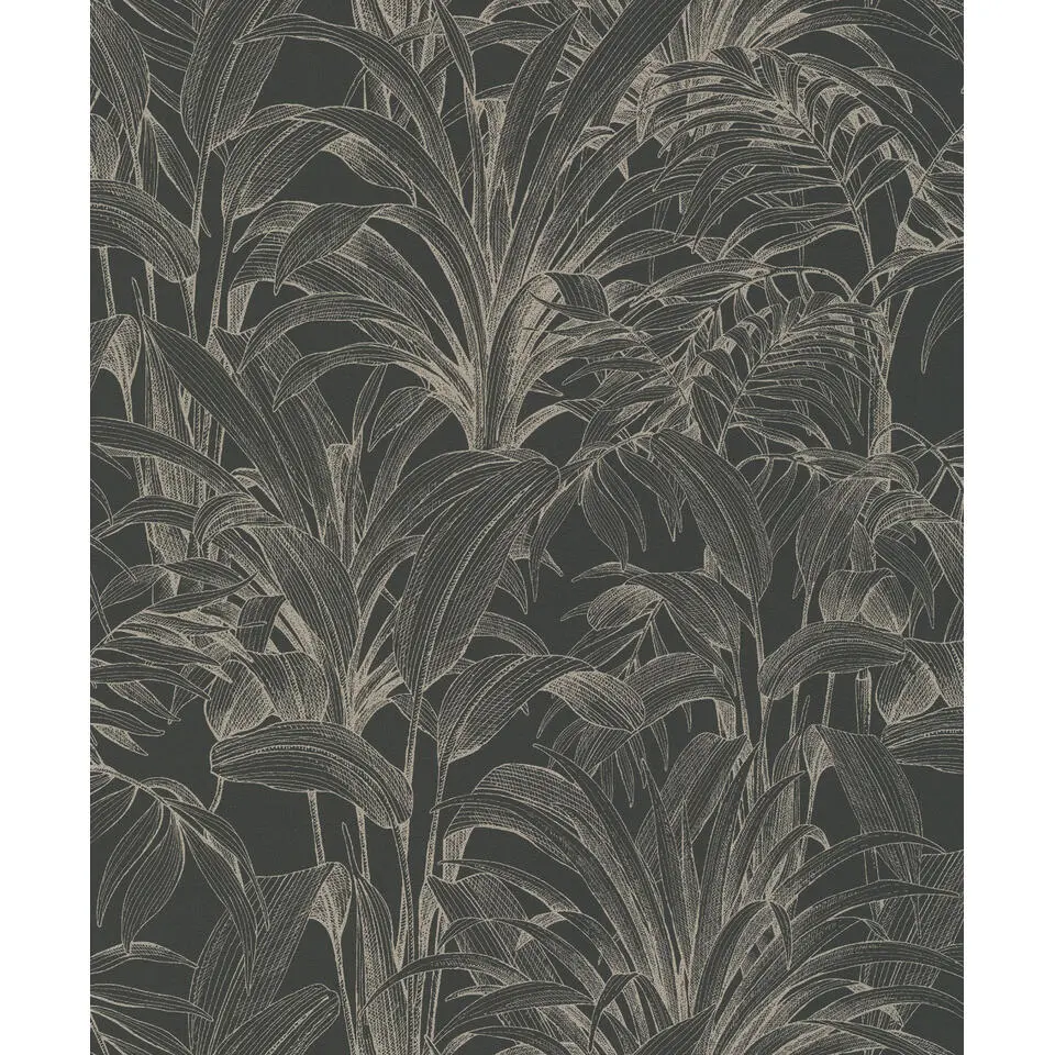 Dutch Wallcoverings - Asperia- Aliare zwart/zilver - A51403