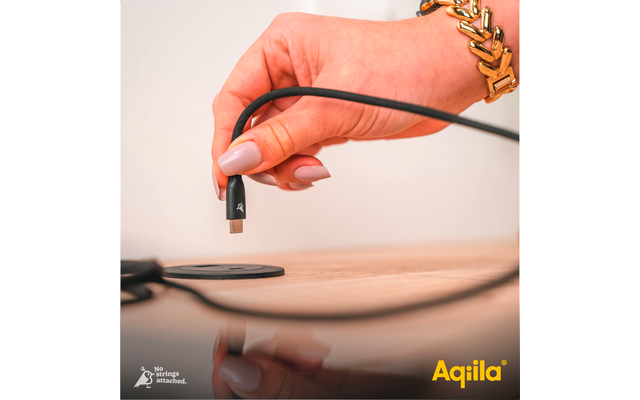 Aqiila Cablebird CB Ladekabel / Sync-Kabel USB-C zu USB-C / 240 W