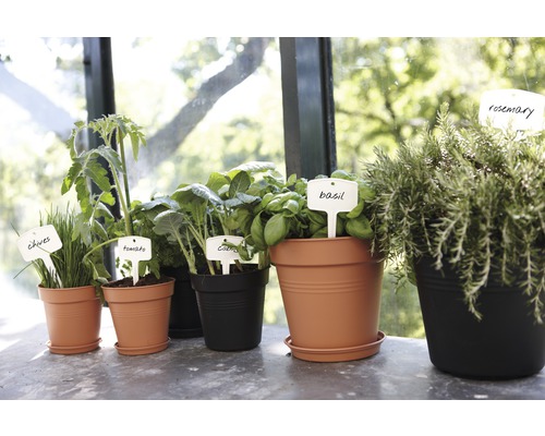 Onderzetter elho Green Basics kunststof Ø 45 H 6 cm terracotta
