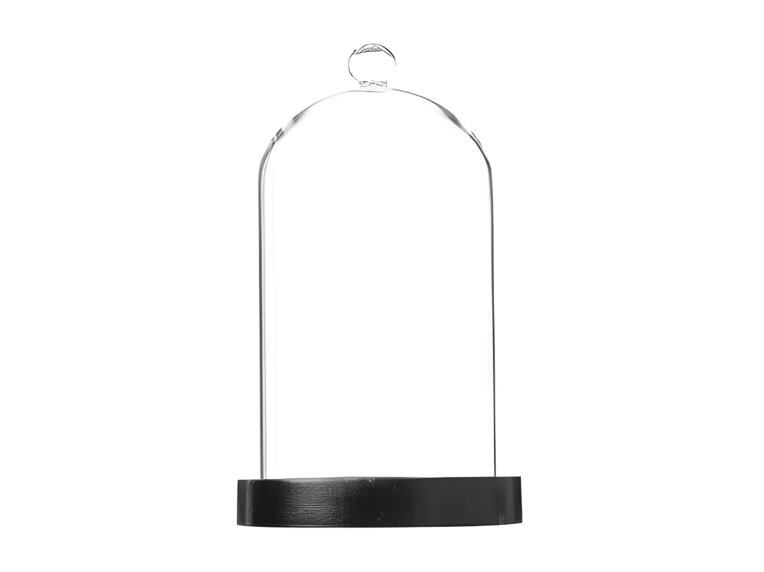 Cloche Décorative en Verre 
