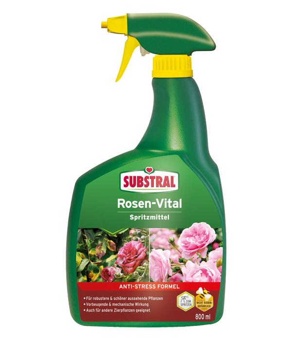 Substral® Rosen-Vital Spritzmittel, flüssig,