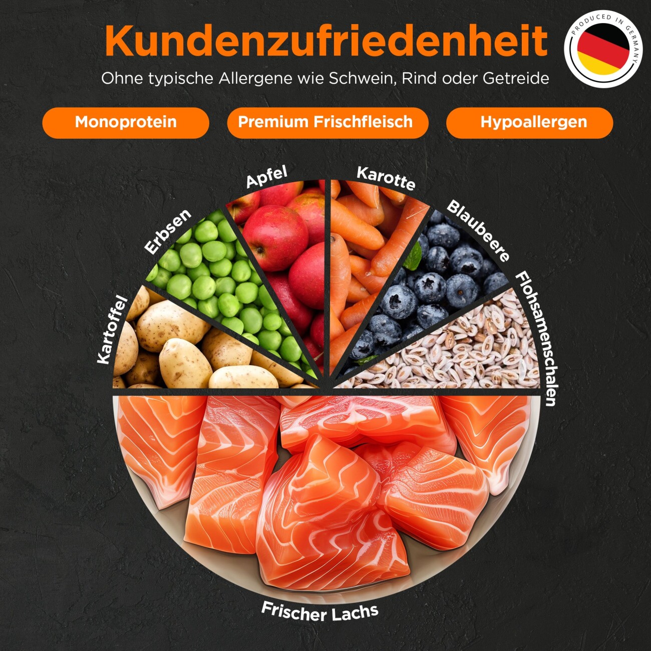 Balloony.pet German Shephy Hundefutter Lachs 500 g