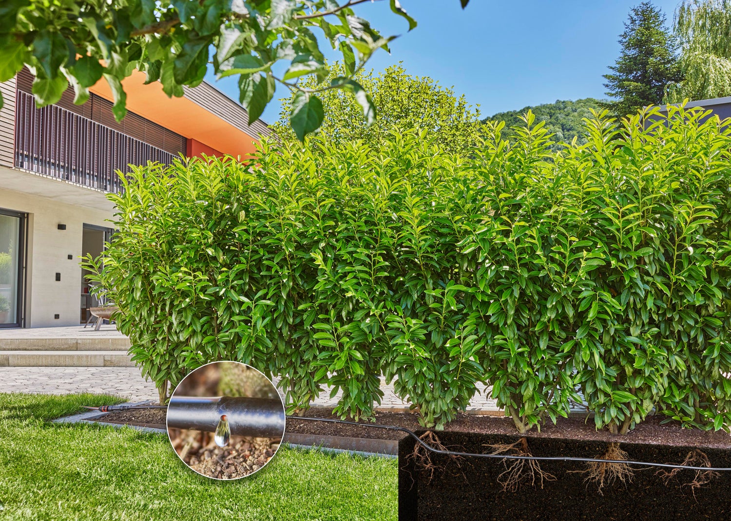 Gardena Micro Drip systeem druppelaar startset heggen en struiken 25 m