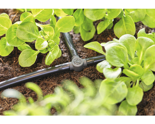 GARDENA Micro-Drip-System T-stuk 4,6 mm (3/16